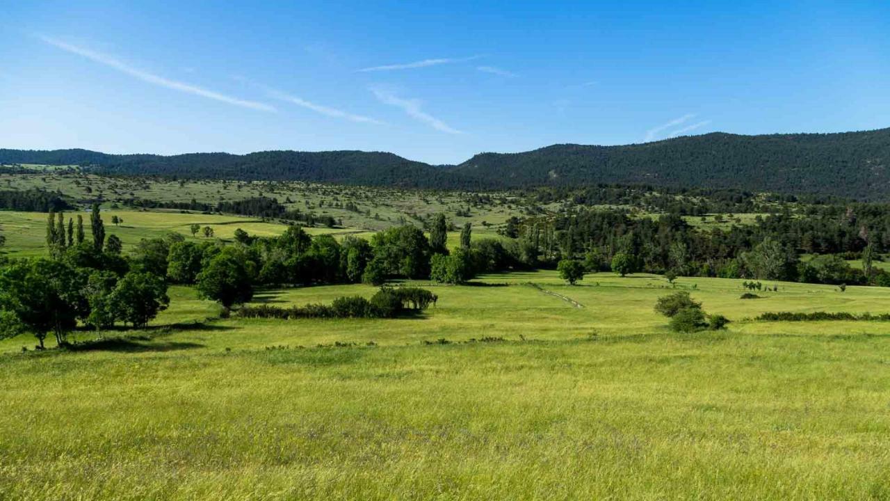 Casa Rural Cal Rossa De Taus Spa Dış mekan fotoğraf