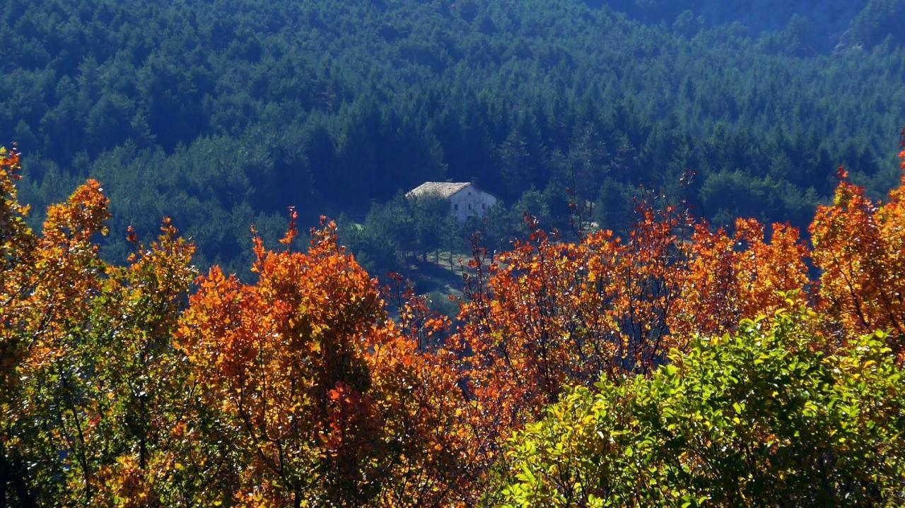 Casa Rural Cal Rossa De Taus Spa Dış mekan fotoğraf